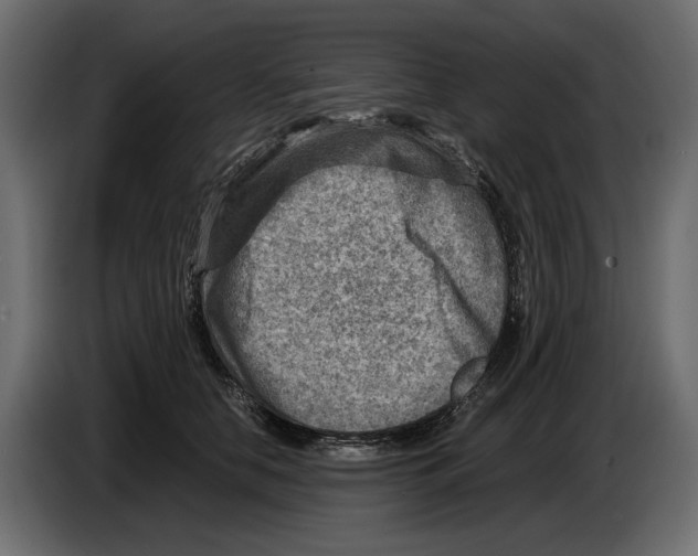 X0000082960658200703020213