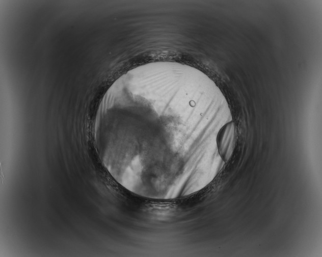 X0000082960659200703020213