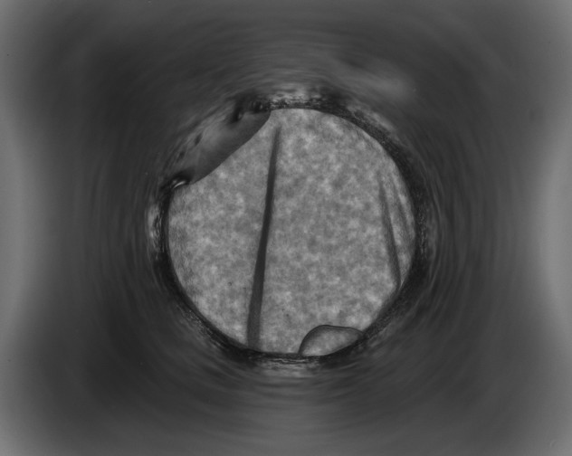 X0000082960661200703020213