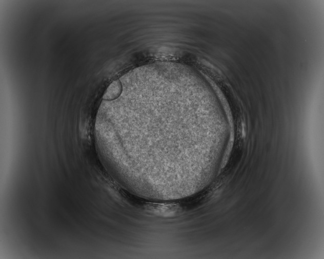 X0000082960663200703020213