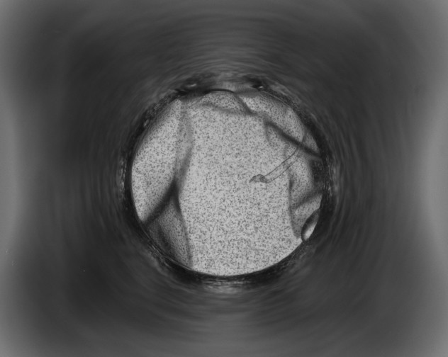 X0000082960664200703020213