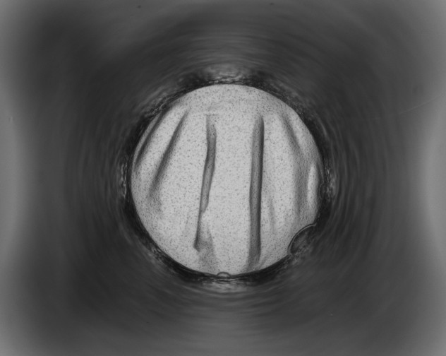 X0000082960666200703020213