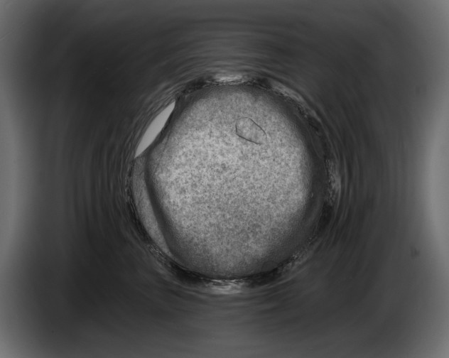 X0000082960667200703020213