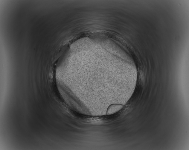 X0000082960668200703020213