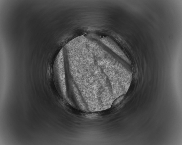 X0000082960669200703020213