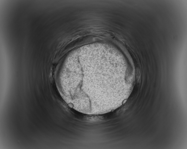 X0000082960670200703020213