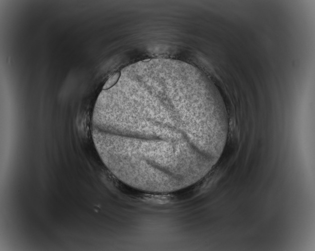 X0000082960671200703020213