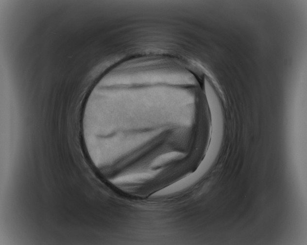 X0000082960673200703020213