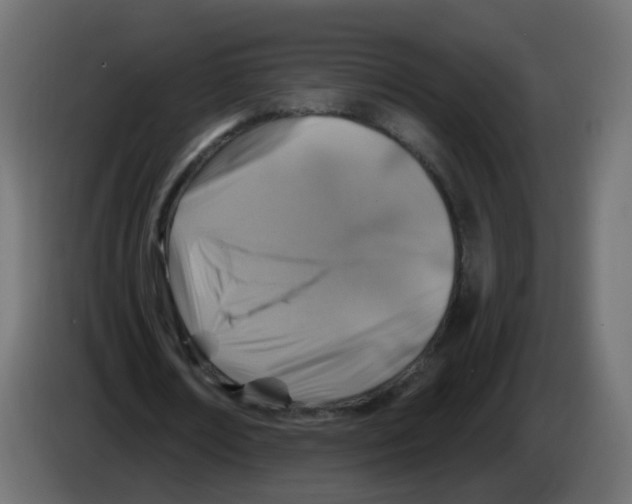 X0000082960674200703020213