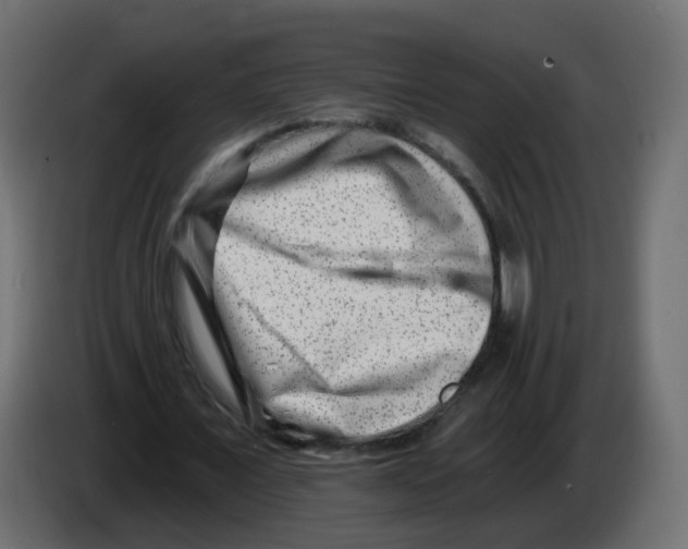 X0000082960675200703020213