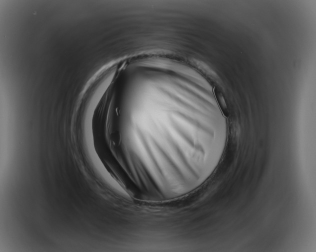 X0000082960676200703020213