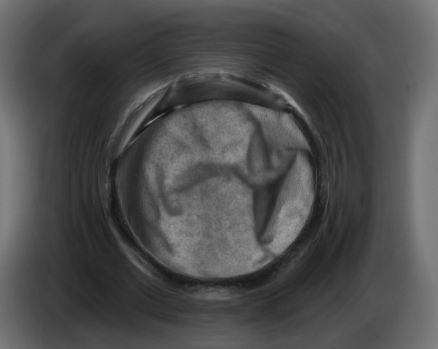 X0000082960677200703020213