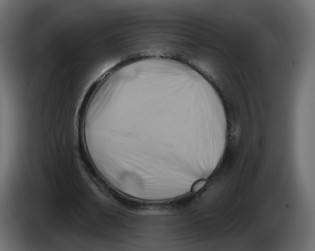 X0000082960678200703020213