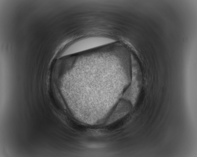 X0000082960679200703020213