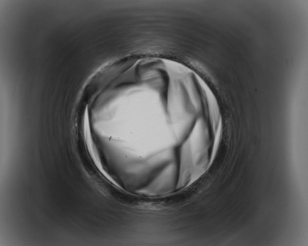 X0000082960680200703020213