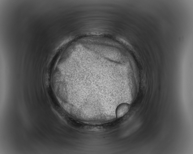 X0000082960683200703020213