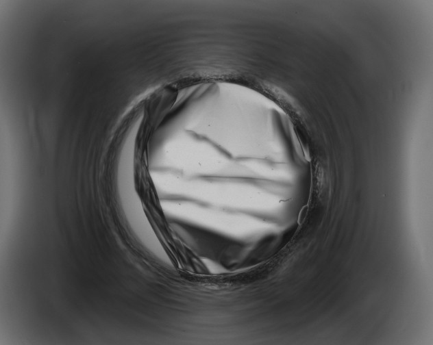 X0000082960684200703020213