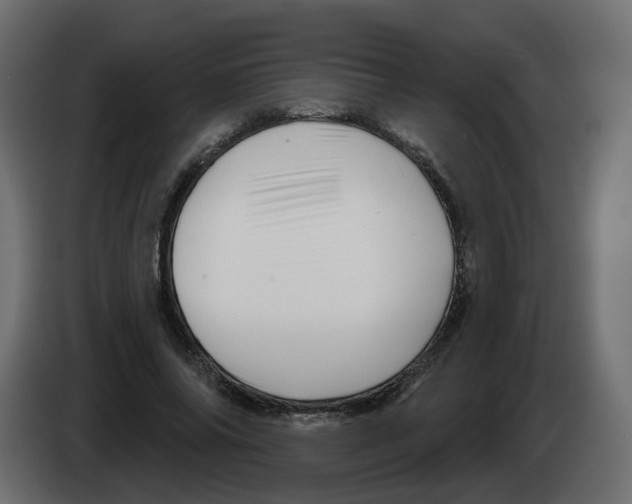 X0000082960686200703020213