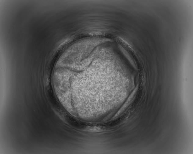 X0000082960687200703020213