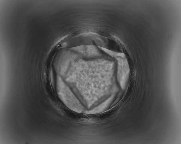 X0000082960688200703020213