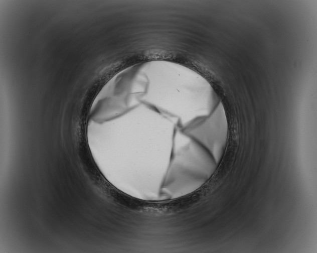 X0000082960690200703020213