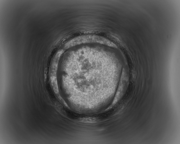 X0000082960691200703020213