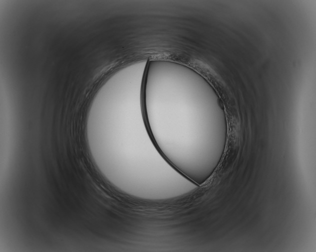 X0000082960692200703020213