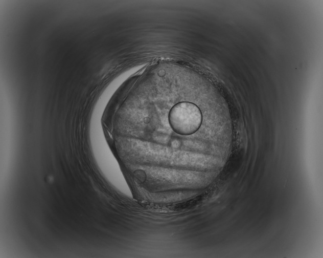 X0000082960695200703020212