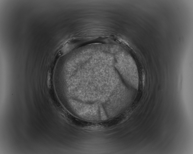 X0000082960696200703020212