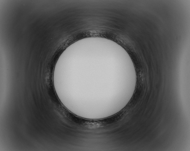 X0000082960698200703020212