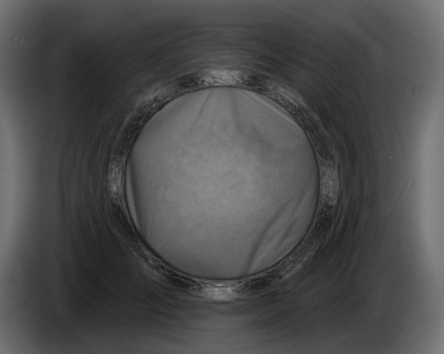 X0000082960701200703020212