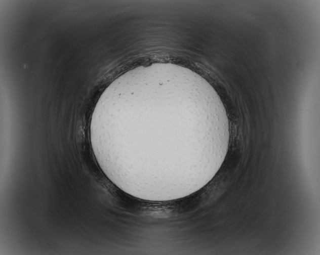 X0000082960702200703020212