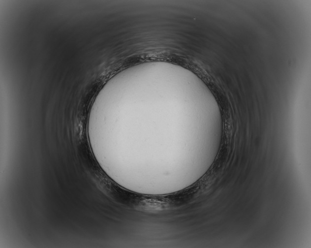 X0000082960703200703020212