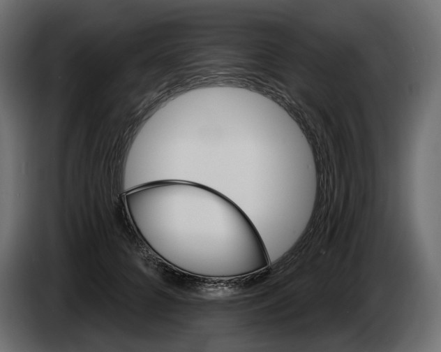 X0000082960704200703020212