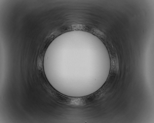 X0000082960705200703020212