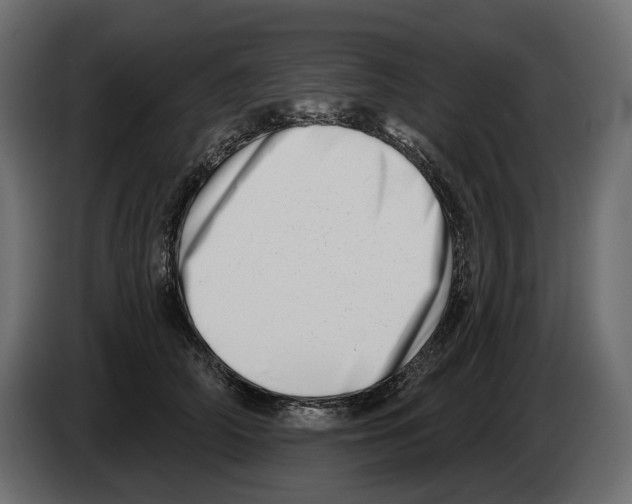 X0000082960706200703020212