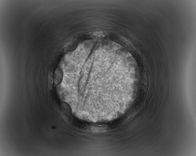 X0000082960707200703020212