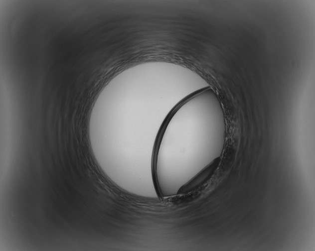 X0000082960708200703020212