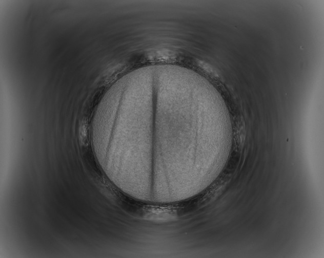 X0000082960709200703020212