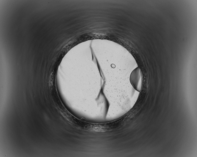 X0000082960710200703020212