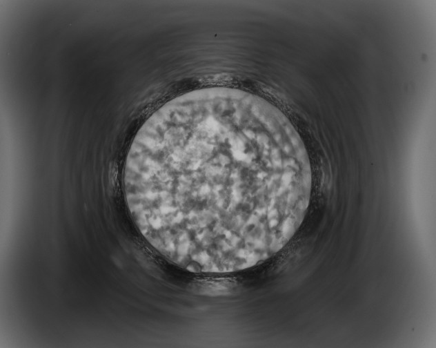 X0000082960711200703020212