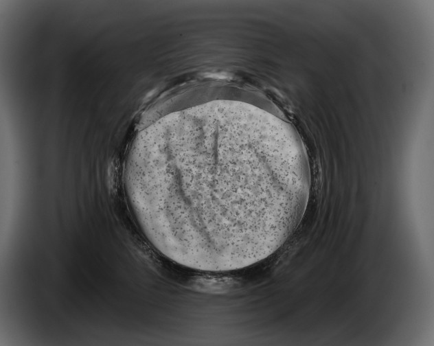 X0000082960712200703020212