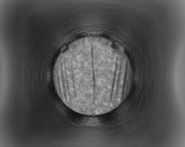 X0000082960715200703020212