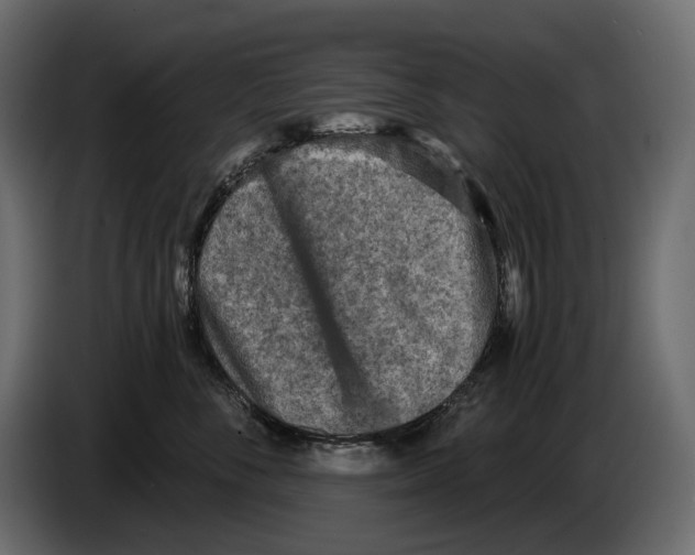 X0000082960716200703020212