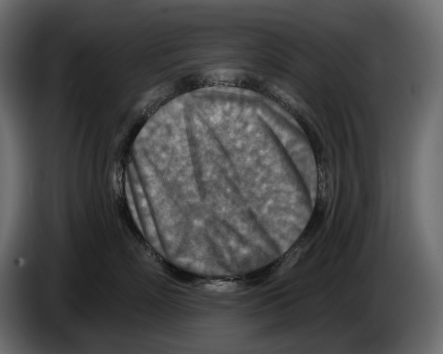 X0000082960718200703020212