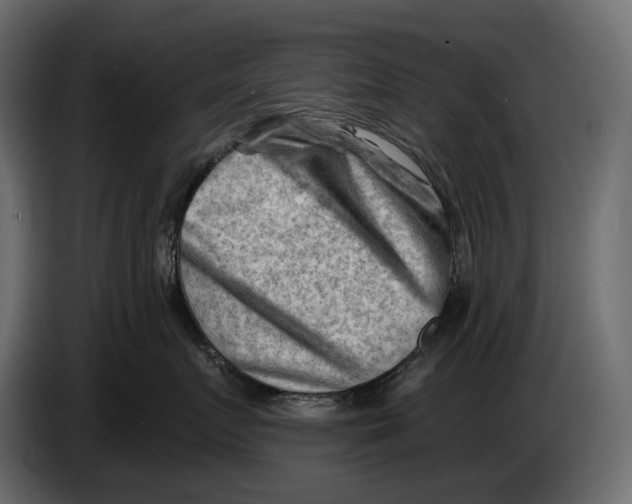 X0000082960719200703020212