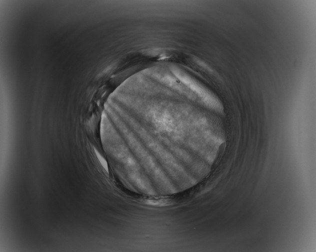 X0000082960720200703020212