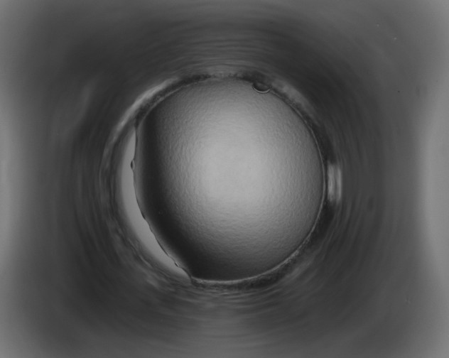 X0000082960723200703020211