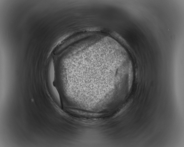 X0000082960725200703020212