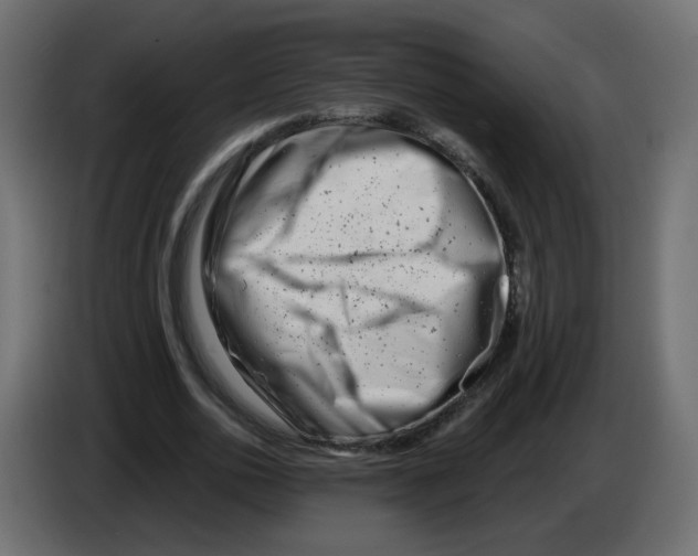 X0000082960726200703020212